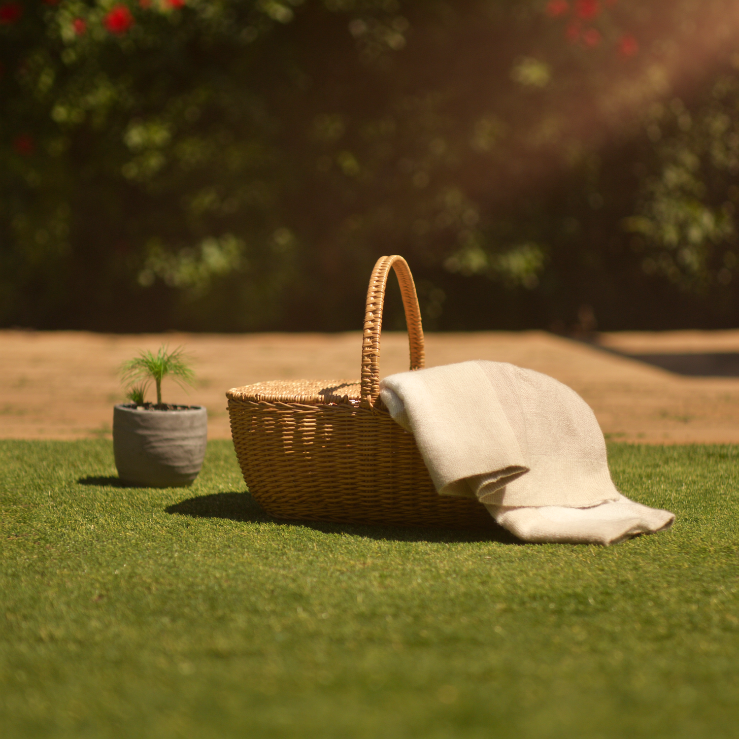Woven picnic basket, blanket and small planter on green grass