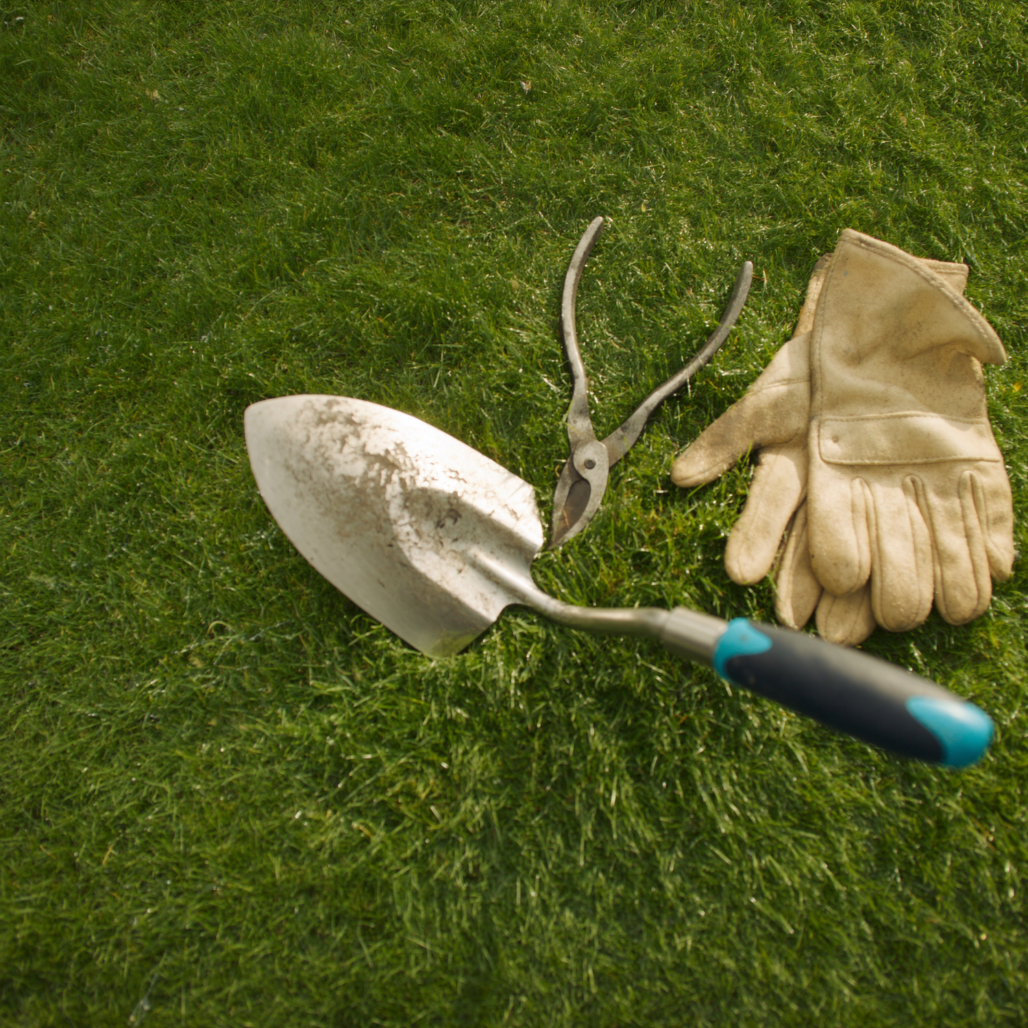 Garden hand tools and gloves laid out on green grass