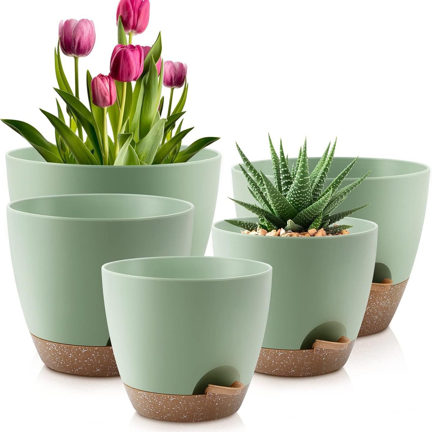 Self-Watering Plant Pots