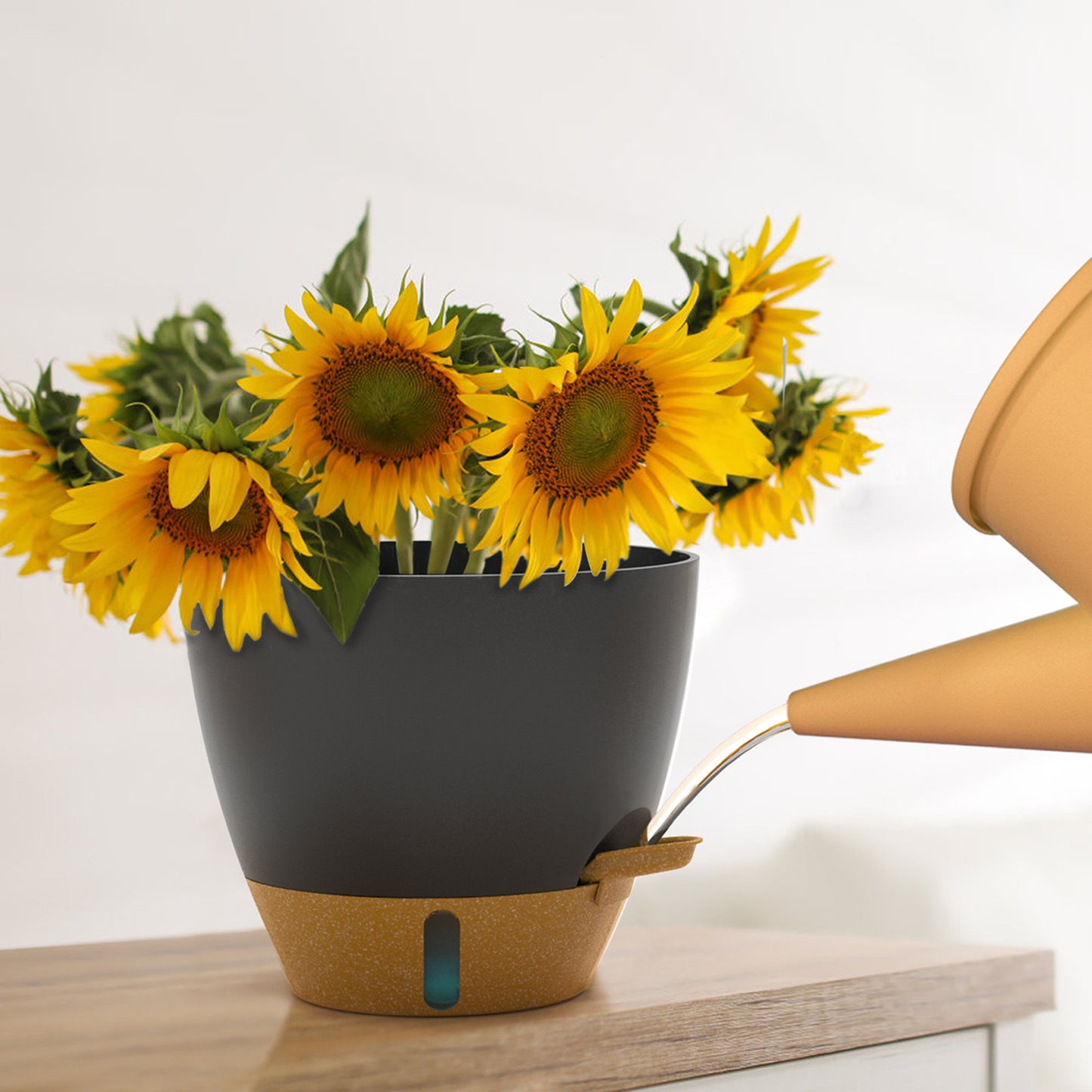 Self-Watering Plant Pots