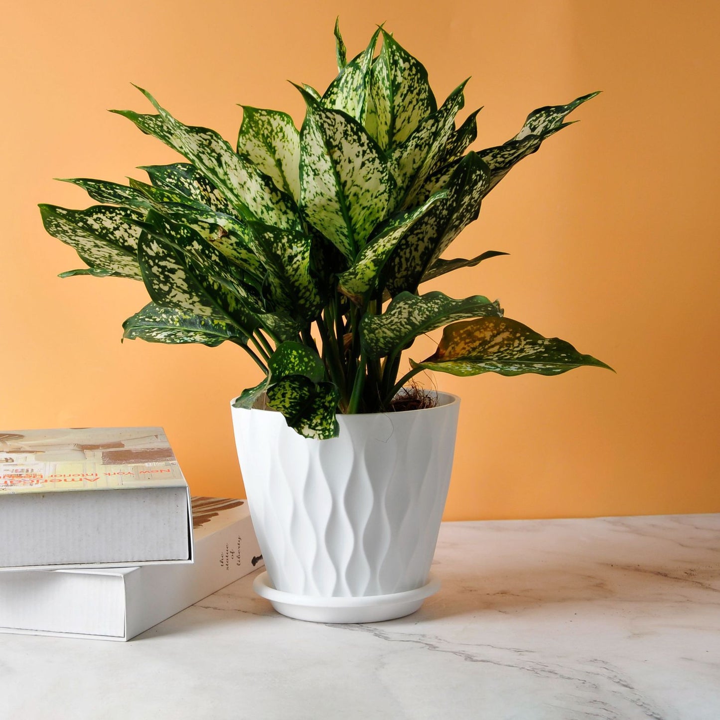 Wave Design Thickened Plastic Flower Pot