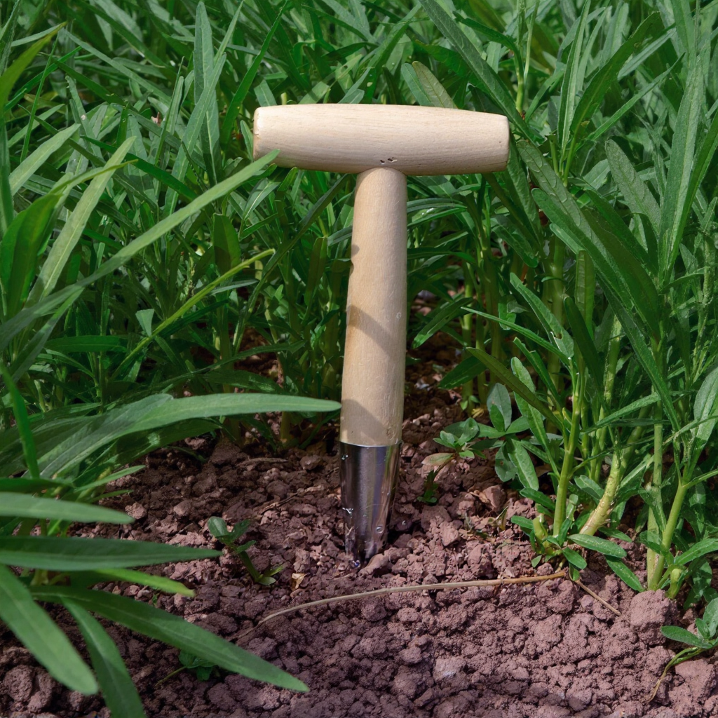 T-shaped gardening drilling tool in a garden setting