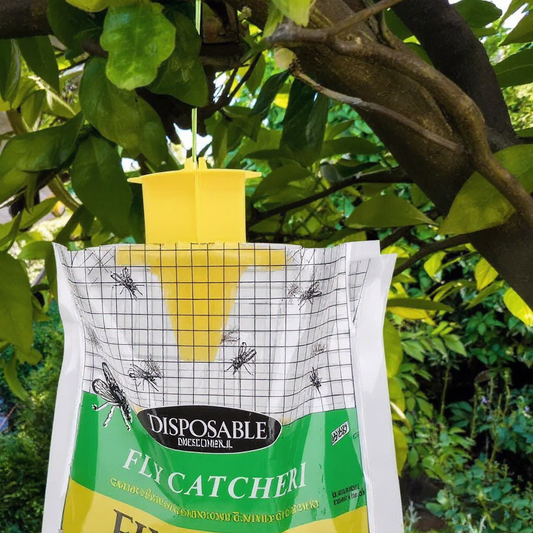 Fly-catching bag hanging in a garden setting