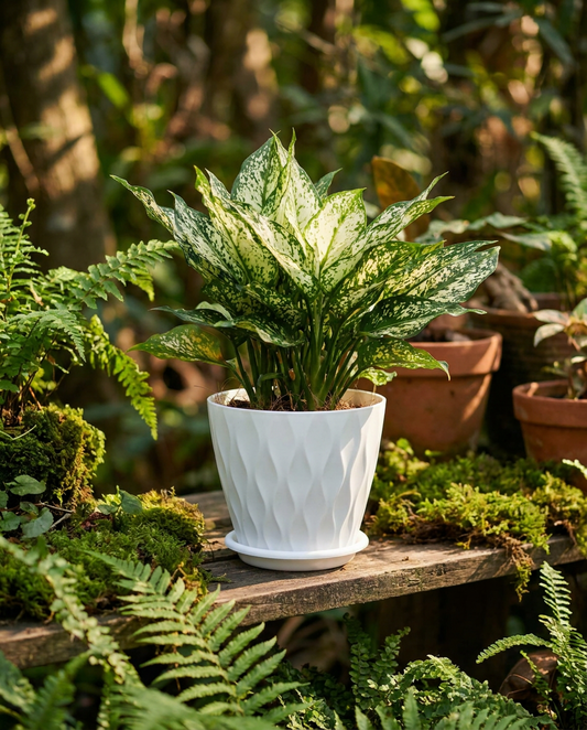 Wave design flower pot with a plant on a mossy garden shelf