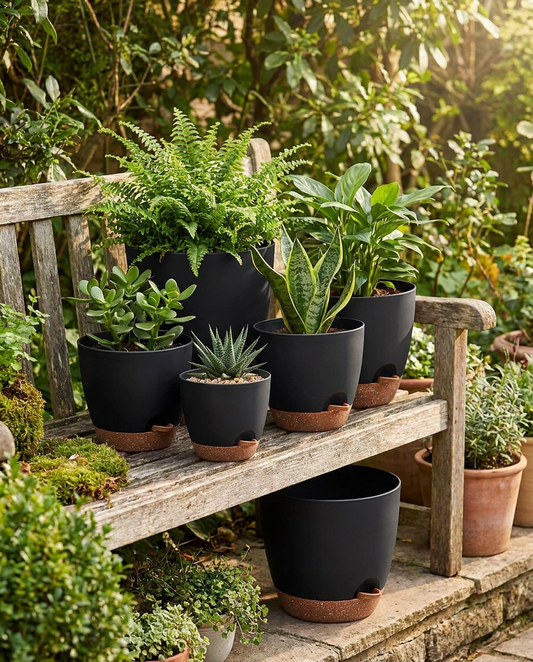 Self-watering plant pots with greenery on a garden bench