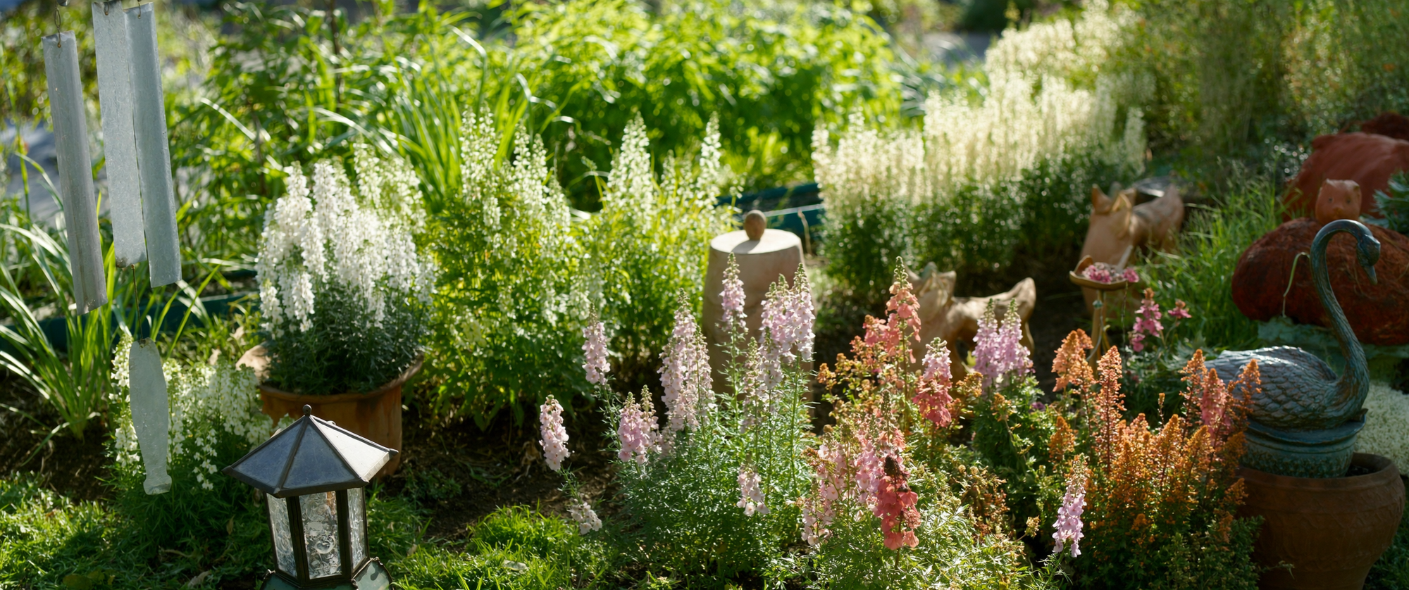 mygarden-collection-decor-banner