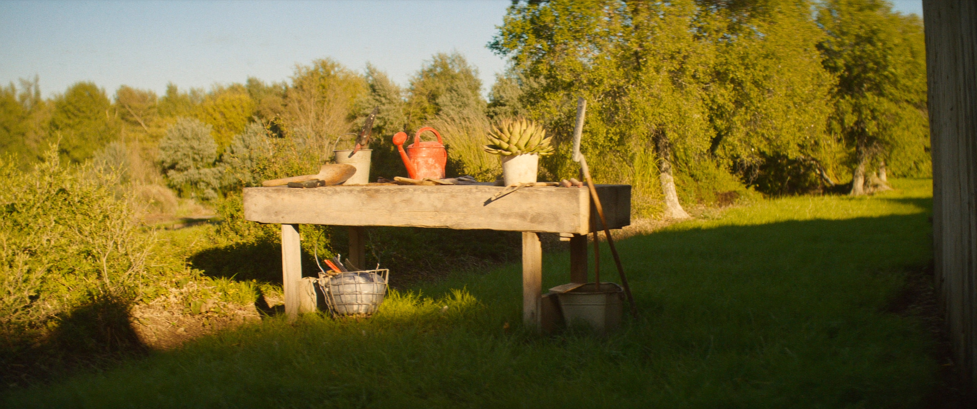 mygarden-collection-tools-banner