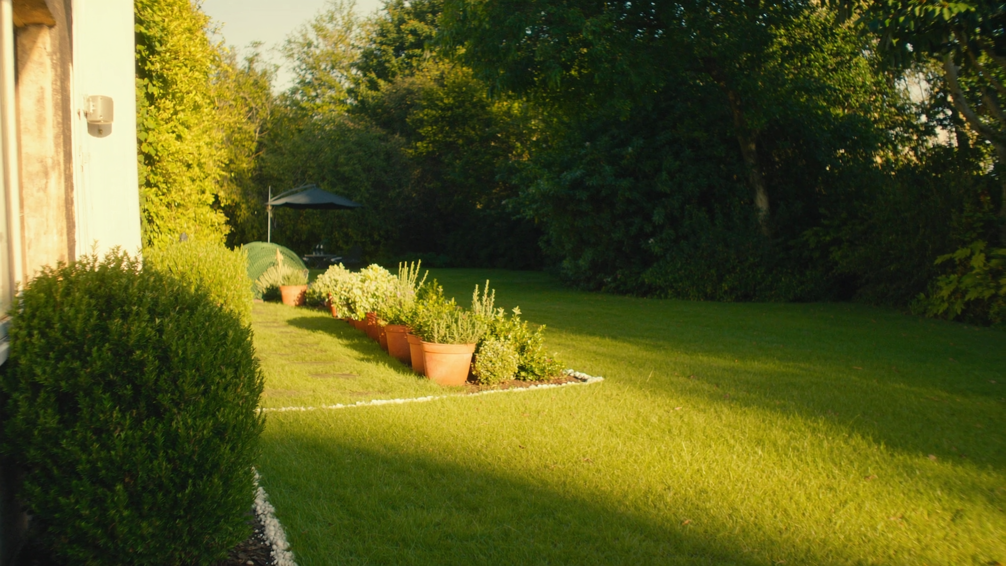 Garden path lined with terracotta pots on a lush green lawn